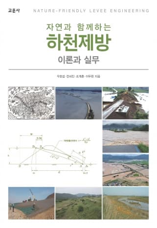 하천제방 (이론과 실무)